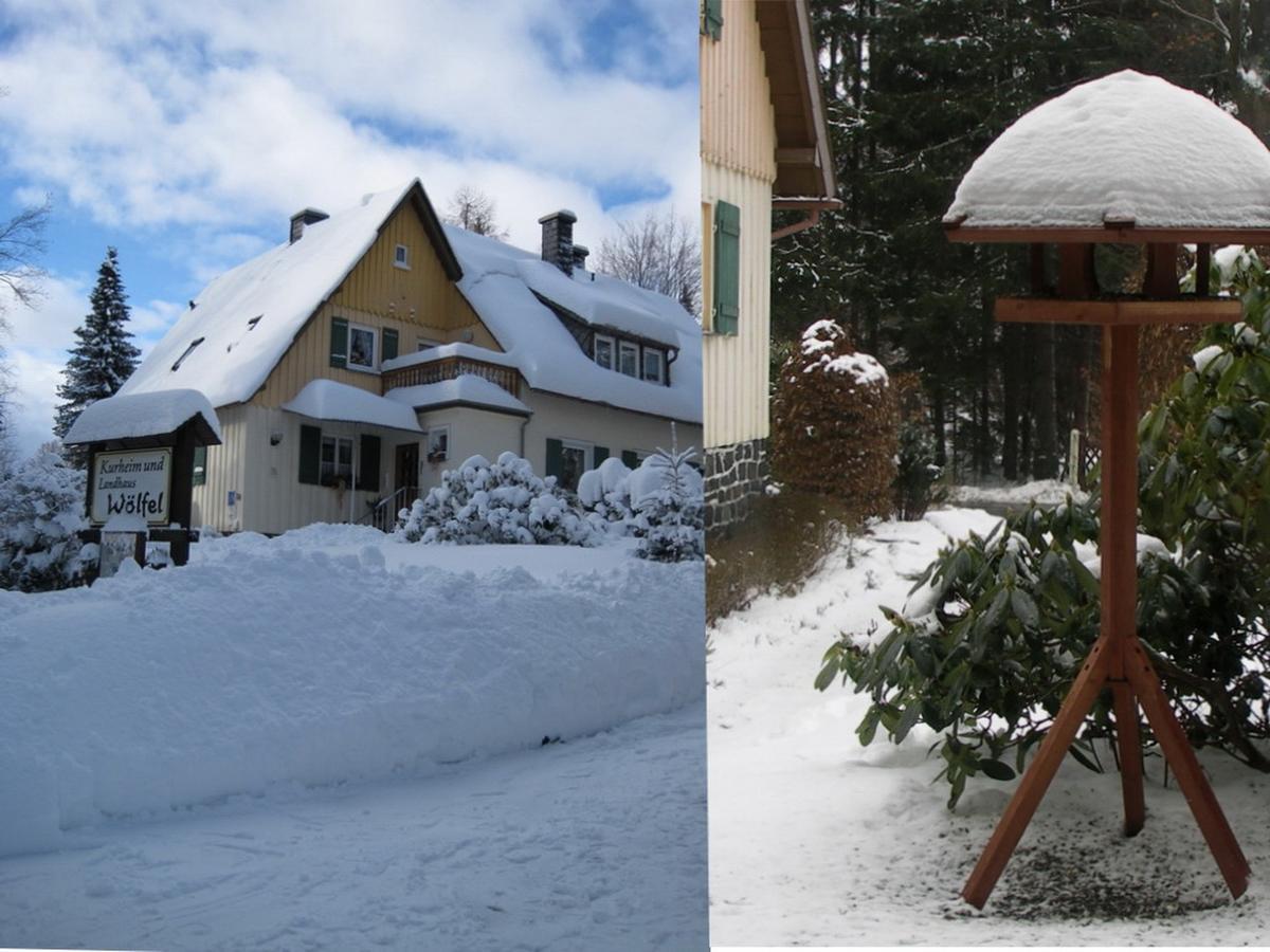Pension Woelfel Bad Steben Bagian luar foto